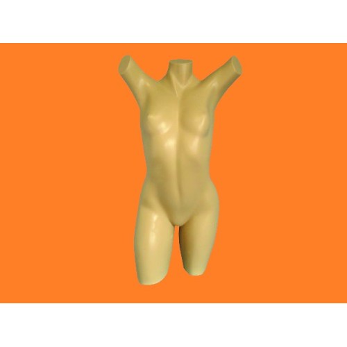 Busto claudia raia MC-1178